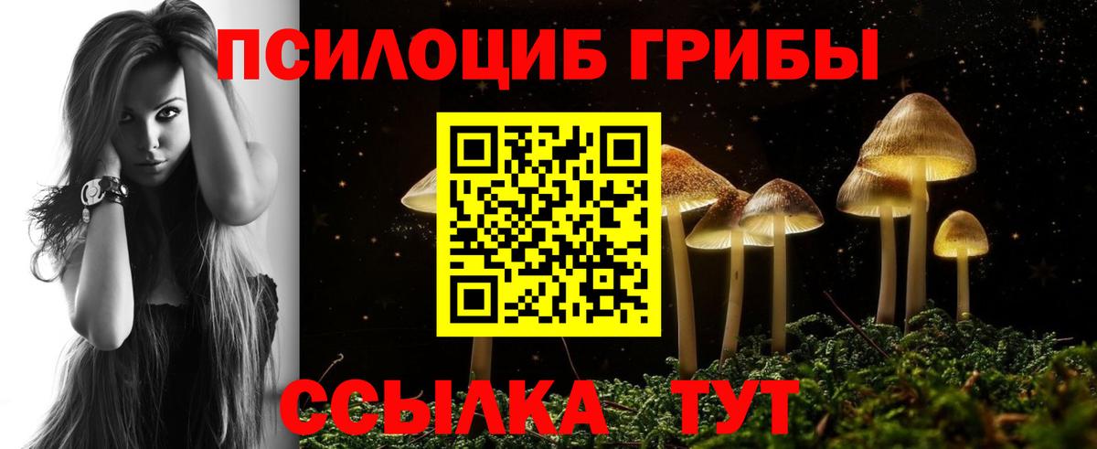 Псилоцибиновые грибы GOLDEN TEACHER  Вход с VPN  Комсомольск-на-Амуре 